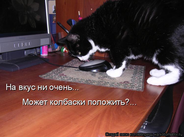 Котоматрица: На вкус ни очень...  Может колбаски положить?...
