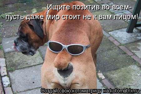 Котоматрица: Ищите позитив во всем- пусть даже мир стоит не к вам лицом!