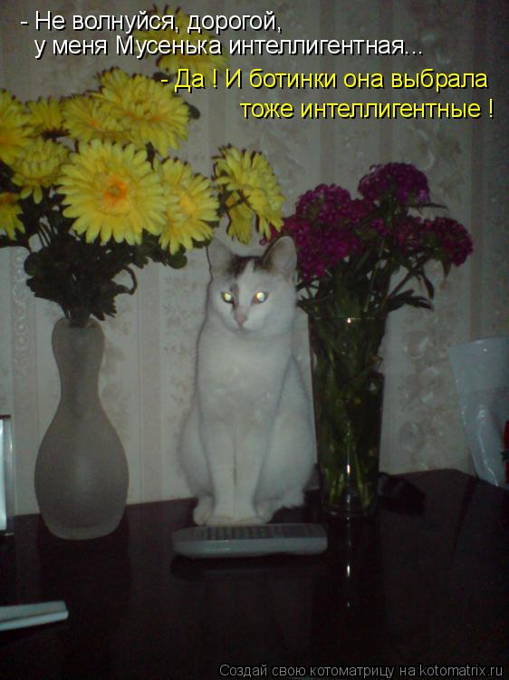 Котоматрица: - Не волнуйся, дорогой,  у меня Мусенька интеллигентная... - Да ! И ботинки она выбрала  тоже интеллигентные !