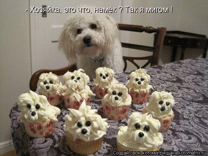Котоматрица: - Хозяйка, это что, намёк ? Так я мигом !
