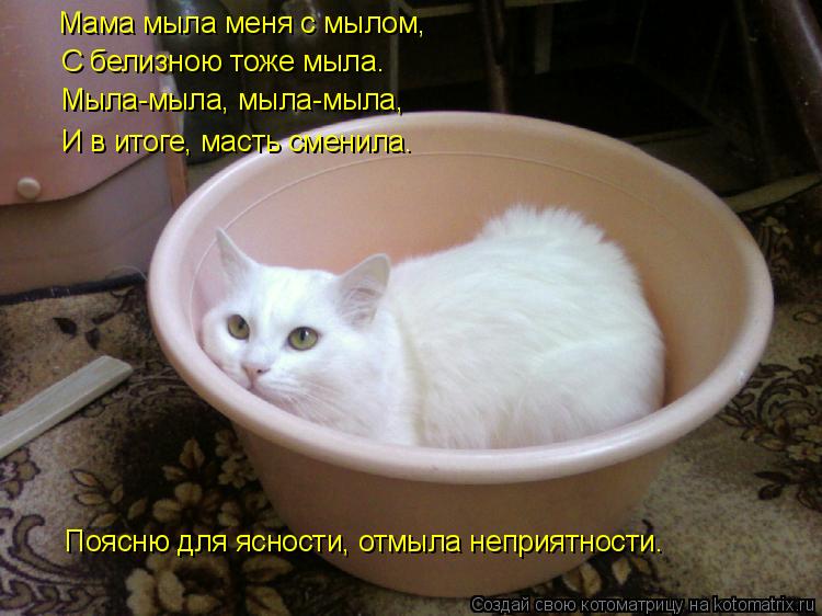 Котоматрица: Мама мыла меня с мылом, С белизною тоже мыла. Мыла-мыла, мыла-мыла, И в итоге, масть сменила. Поясню для ясности, отмыла неприятности.