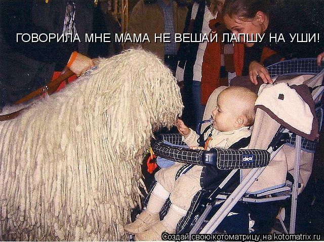 Котоматрица: ГОВОРИЛА МНЕ МАМА НЕ ВЕШАЙ ЛАПШУ НА УШИ!