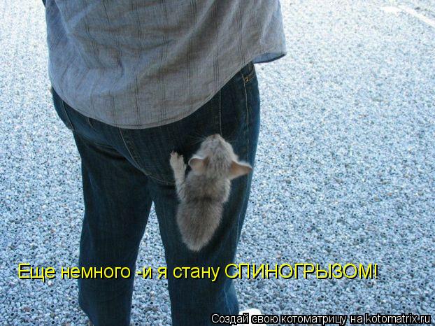 Котоматрица: Еще немного -и я стану СПИНОГРЫЗОМ!