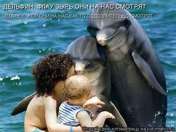 Котоматрица: ДЕЛЬФИН: ФЛАУ ЗЫРЬ ОНИ НА НАС СМОТРЯТ ЧЕЛОВЕК: ЖОР ОНИ НА НАС КАК ТО ПОДОЗРИТЕЛЬНО СМОТРЯТ