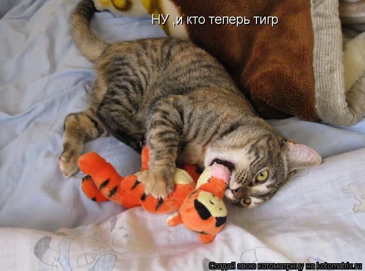 Котоматрица: НУ ,и кто теперь тигр