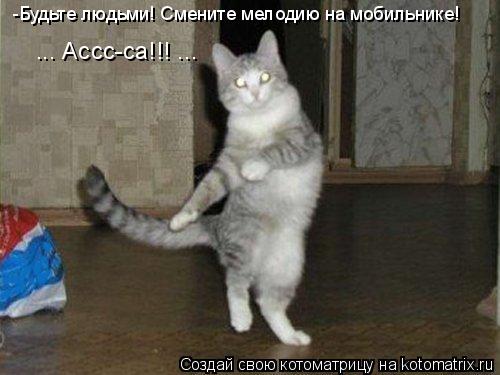 Котоматрица: -Будьте людьми! Смените мелодию на мобильнике! ... Ассс-са!!! ...