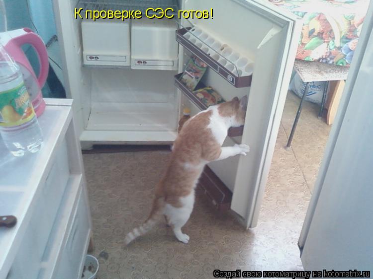 К проверке СЭС готов!... Котоматрица: К проверке СЭС готов!