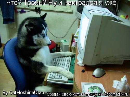 Что? Троян? Ну и наигрался я уже By CatHoshinaUtau... Котоматрица: Что? Троян? Ну и наигрался я уже By CatHoshinaUtau