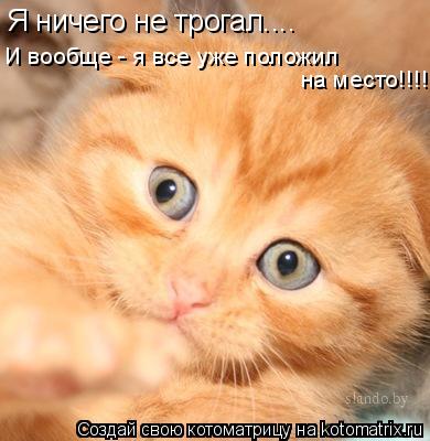 Я ничего не трогал.... Я ничего не трогал.... И вообще - я все уже положил на место!!!!... Котоматрица: Я ничего не трогал.... Я ничего не трогал.... И вообще - я все уже положил на место!!!!