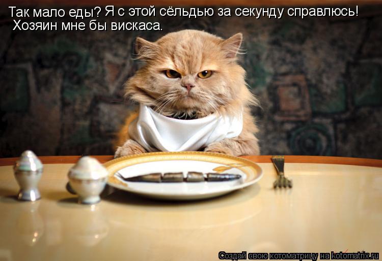Так мало еды? Я с этой сёльдью за секунду справлюсь! Хозяин мне бы вискаса.... Котоматрица: Так мало еды? Я с этой сёльдью за секунду справлюсь! Хозяин мне бы вискаса.