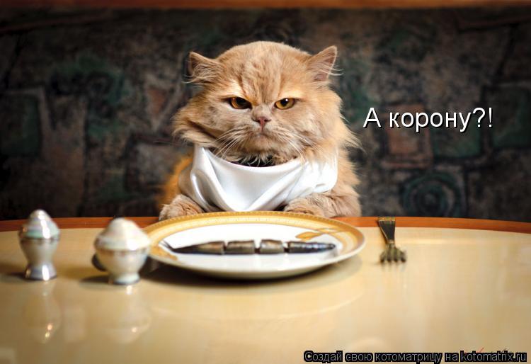 А корону?!... Котоматрица: А корону?!