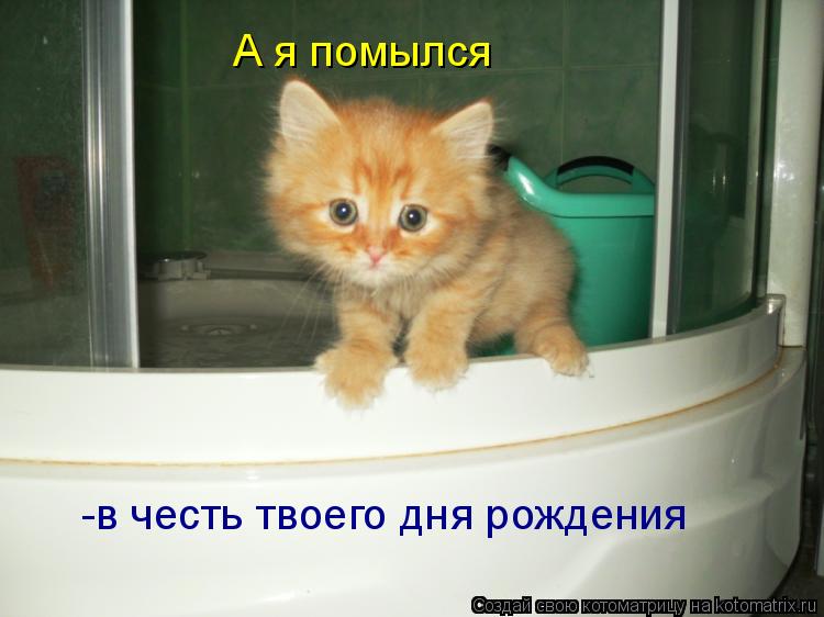 А я помылся -в честь твоего дня рождения... Котоматрица: А я помылся -в честь твоего дня рождения