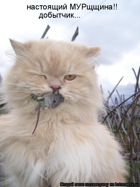 Котоматрица: настоящий МУРщщина!! добытчик...