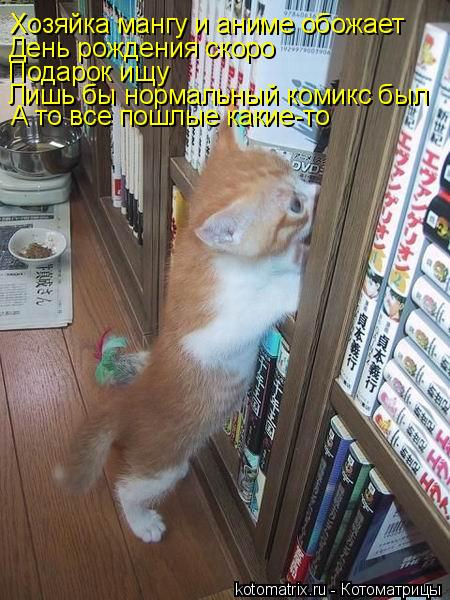 Котоматрица: Хозяйка мангу и аниме обожает День рождения скоро Подарок ищу Лишь бы нормальный комикс был А то все пошлые какие-то