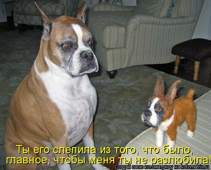 Котоматрица: главное, чтобы меня ты не разлюбила! Ты его слепила из того, что было,