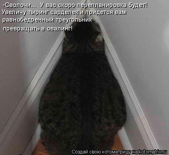 Котоматрица: -Сволочи...  У вас скоро перепланировка будет!  равнобедренный треугольник  превращать в овалинг! Увеличу тыринг сарделек и придется вам