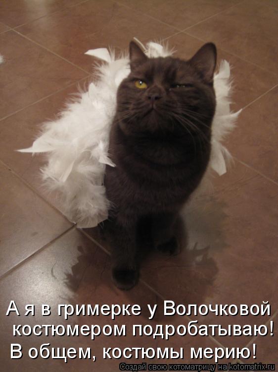 Котоматрица: В общем, костюмы мерию!  костюмером подробатываю! А я в гримерке у Волочковой