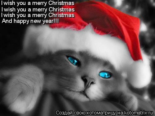 Котоматрица: I wish you a merry Christmas I wish you a merry Christmas I wish you a merry Christmas And happy new year!!!