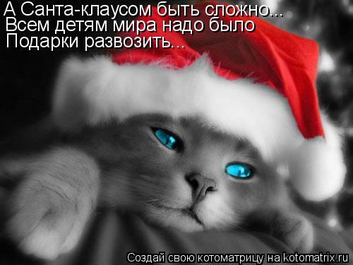 Котоматрица: А Санта-клаусом быть сложно... Всем детям мира надо было  Подарки развозить...