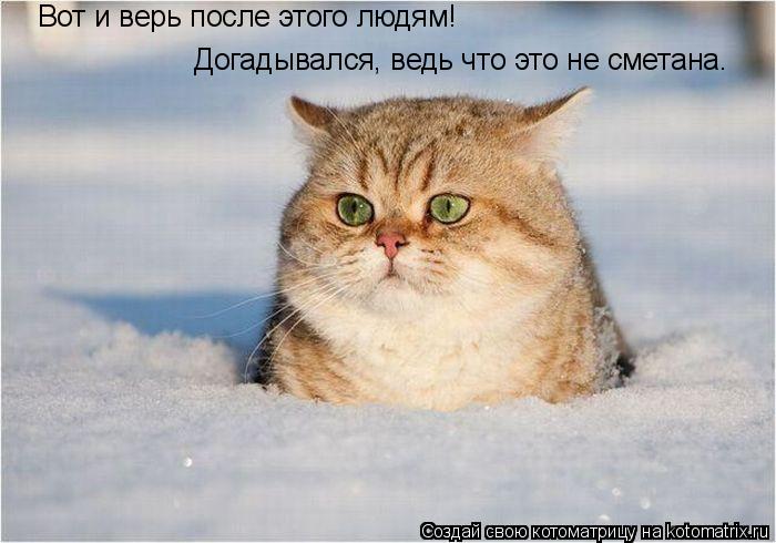 Котоматрица: Вот и верь после этого людям!  Догадывался, ведь что это не сметана. Догадывался, ведь что это не сметана.