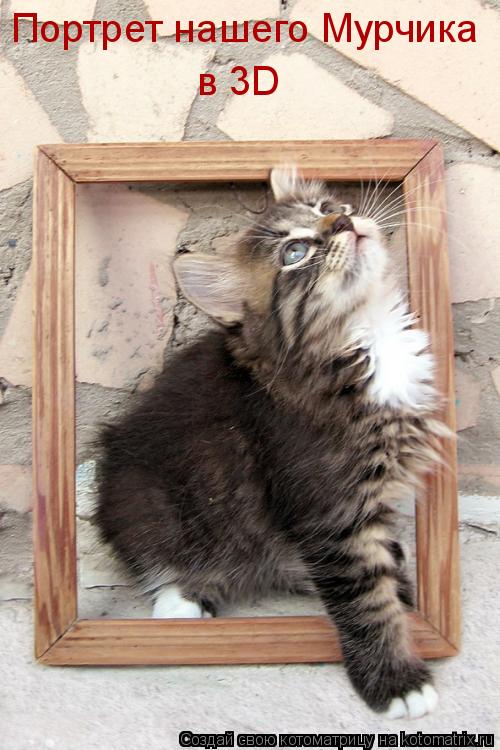 Котоматрица: Портрет нашего Мурчика  в 3D