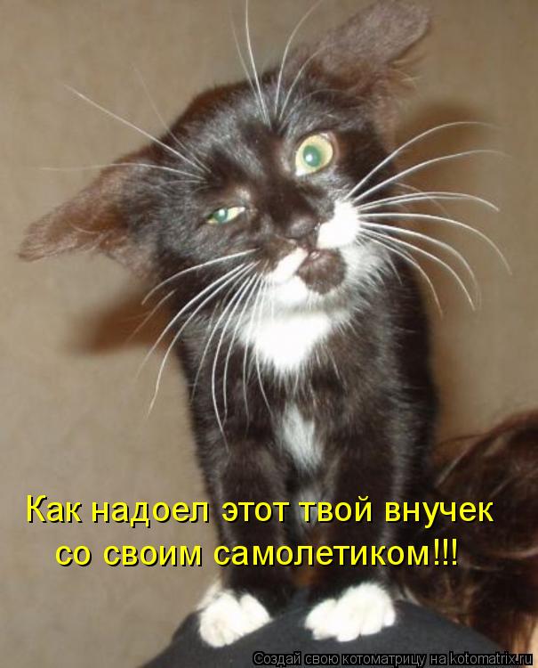 Котоматрица: Как надоел этот твой внучек со своим самолетиком!!!