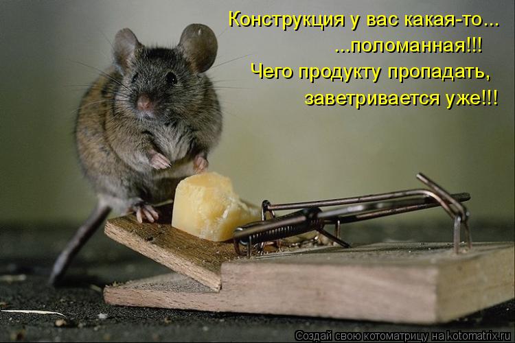 Котоматрица: Конструкция у вас какая-то... ...поломанная!!! Чего продукту пропадать,  заветривается уже!!!