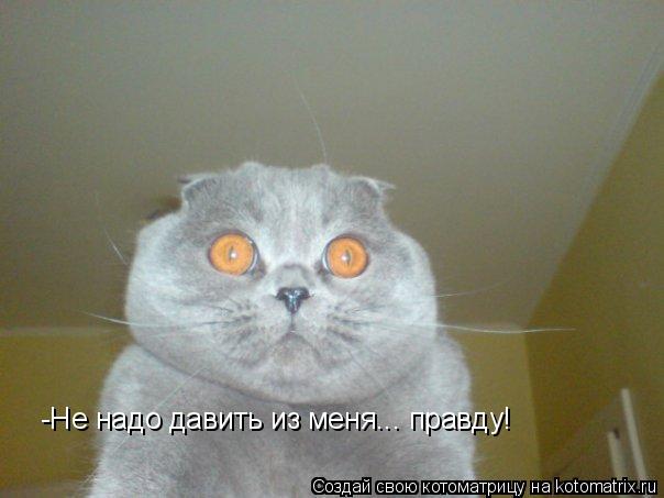 Котоматрица: -Не надо давить из меня... правду!
