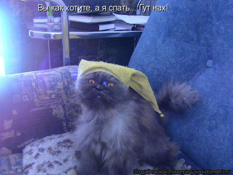 Котоматрица: Вы как хотите, а я спать... Гут нах!