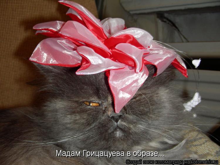 Котоматрица: Мадам Грицацуева в образе...