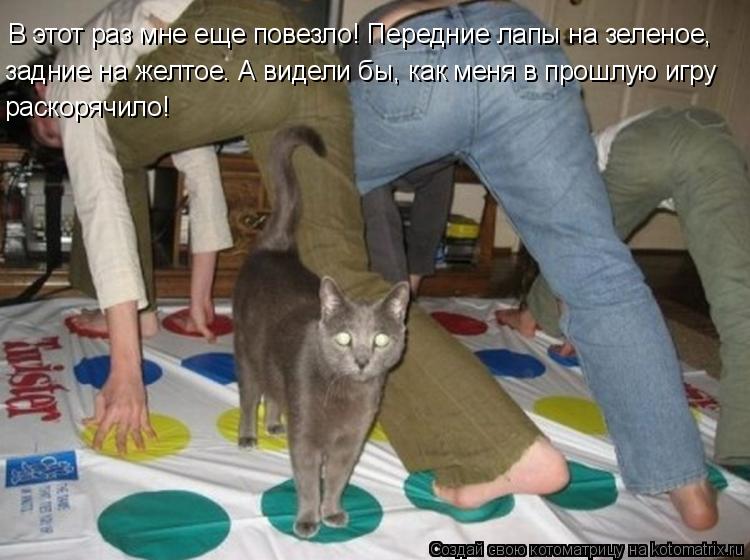В этот раз мне еще повезло! Передние лапы на зеленое, задние на желтое. А видели бы, как меня в прошл... Котоматрица: В этот раз мне еще повезло! Передние лапы на зеленое, задние на желтое. А видели бы, как меня в прошлую игру раскорячило!