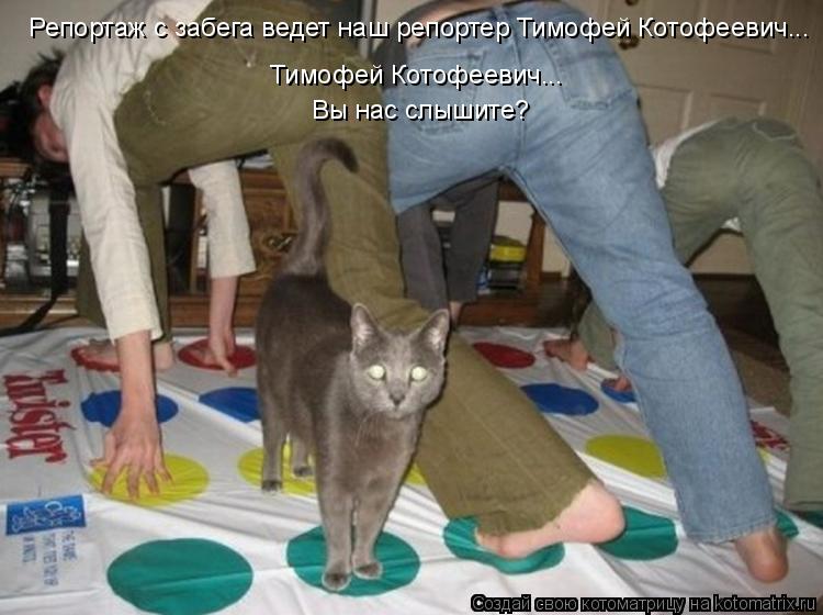 Котоматрица: Репортаж с забега ведет наш репортер Тимофей Котофеевич...   Тимофей Котофеевич... Вы нас слышите?