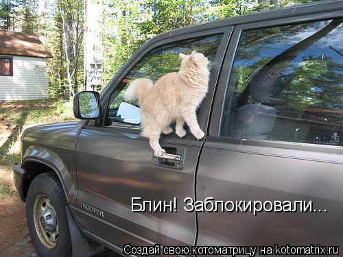 Котоматрица: Блин! Заблокировали...