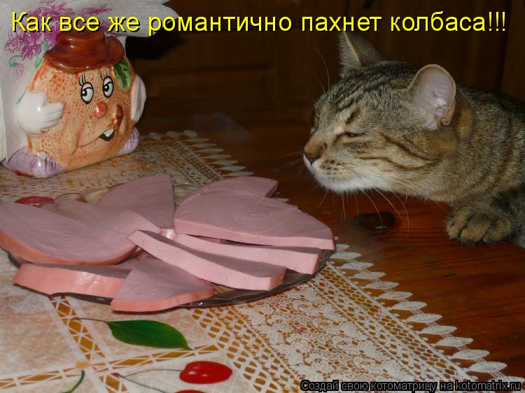 Котоматрица: Как все же романтично пахнет колбаса!!!