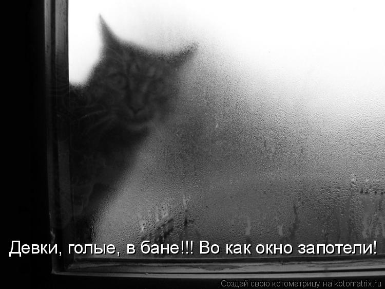 Котоматрица: Девки, голые, в бане!!! Во как окно запотели!
