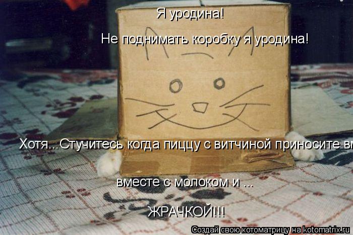 Котоматрица: Я уродина! Не поднимать коробку я уродина! Хотя...Стучитесь когда пиццу с витчиной приносите вместе с молоком и ...  вместе с молоком и ... ЖРАЧК