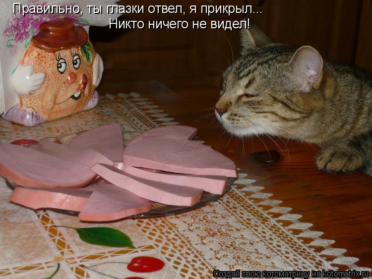 Котоматрица: Правильно, ты глазки отвел, я прикрыл... Никто ничего не видел!