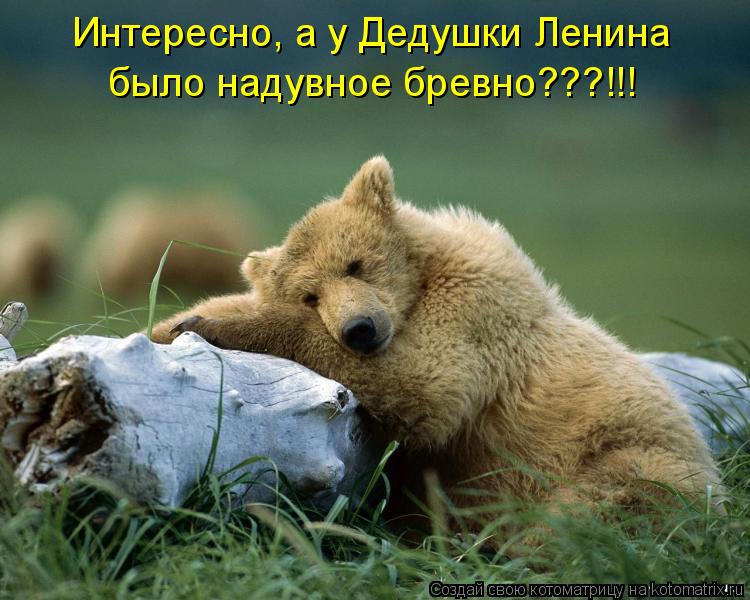 Котоматрица: Интересно, а у Дедушки Ленина  было надувное бревно???!!!