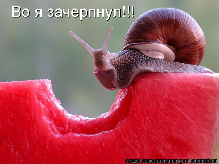 Котоматрица: Во я зачерпнул!!!