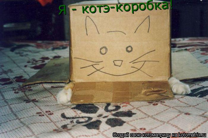 Котоматрица: Я - котэ-коробка!