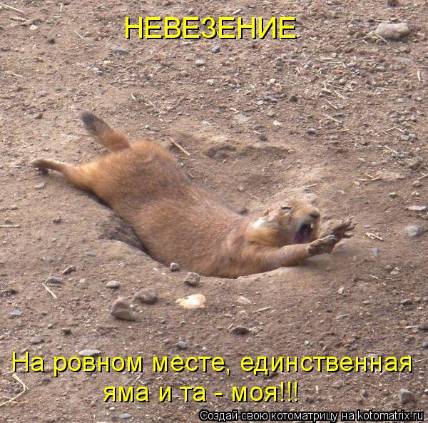 Котоматрица: На ровном месте, единственная яма и та - моя!!! НЕВЕЗЕНИЕ