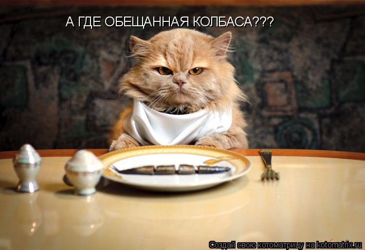Котоматрица: А ГДЕ ОБЕЩАННАЯ КОЛБАСА???