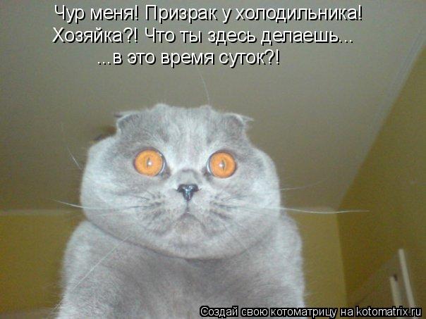 Котоматрица: Чур меня! Призрак у холодильника! Хозяйка?! Что ты здесь делаешь... ...в это время суток?!