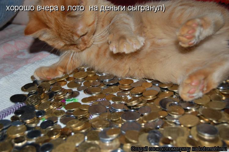 Котоматрица: хорошо вчера в лото  на деньги сыгранул)