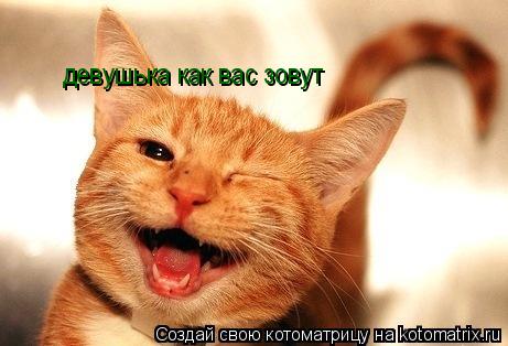 Котоматрица: девушька как вас зовут