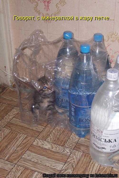 Котоматрица: Говорят, с минералкой в жару легче...