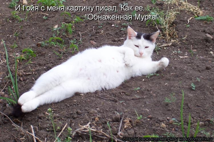 Котоматрица: И Гойя с меня картину писал. Как ее... "Обнажённая Мурка"