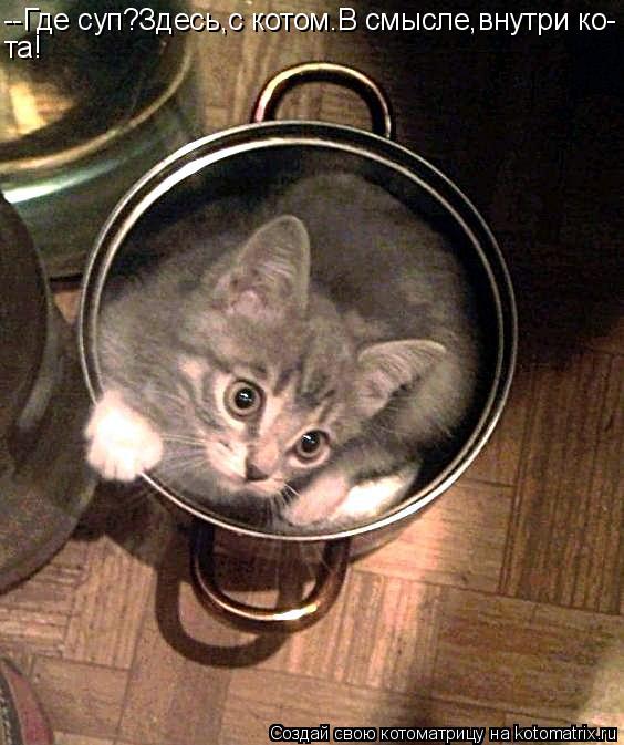 Котоматрица: --Где суп?Здесь,с котом.В смысле,внутри ко- та!