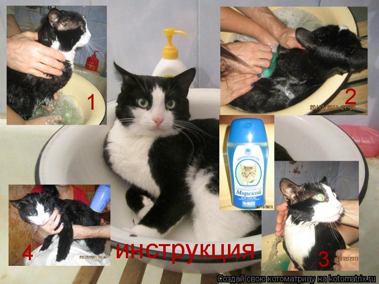 Котоматрица: 1 2 3 4 инструкция