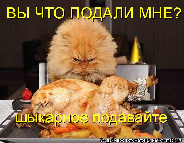 Котоматрица: ВЫ ЧТО ПОДАЛИ МНЕ? шыкарное подавайте шыкарное подавайте